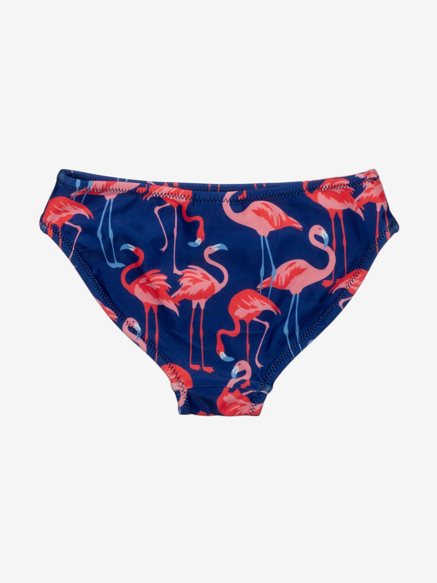 Family Matching Swimwear in Flamingo Print