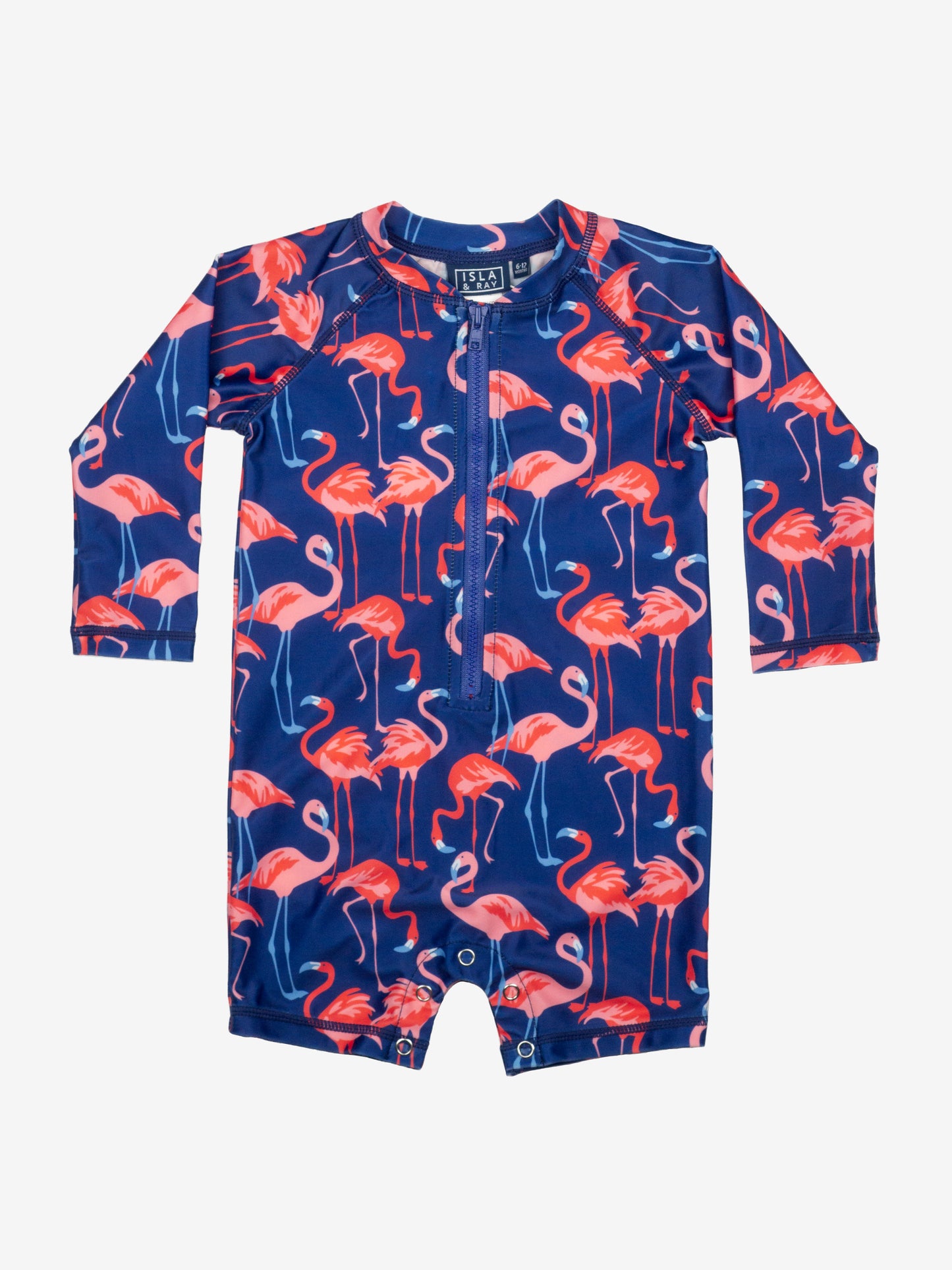 Family Matching Swimwear in Flamingo Print