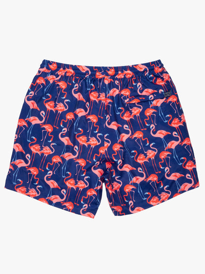 Men's Swim Trunks